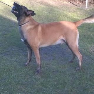 Profile Picture of Gyula Toth (@Gyula-Toth) on Facebook