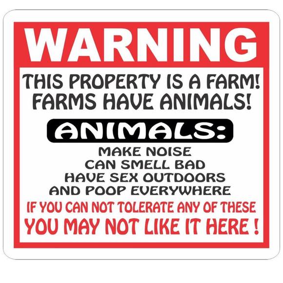 Profile Picture of Jeff Kinney (@fredman_05) on Poshmark