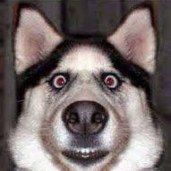 Profile Picture of Bryce Harmon (@bryceharmon1313) on Poshmark