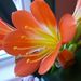 Profile Picture of Linda Tweedy-Robinson (@lindarobintwee) on Pinterest