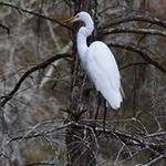 Matthew Dalton - Instagram Profile Picture of Matthew Dalton (@matthew.dalton.31392) on Instagram