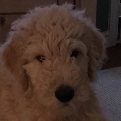 Profile Picture of Dawn Spragg (@spragg_dawn) on Twitter