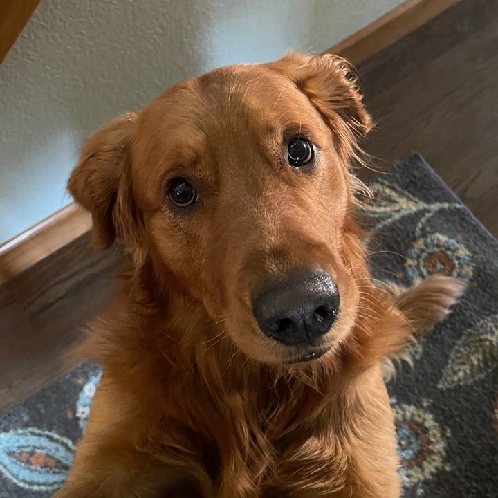 Profile Picture of Benjamin Rash (@@benjaminrash) on Tiktok