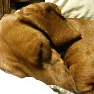 Profile Picture of Fred Oglesby (@fred.oglesby.14) on Facebook