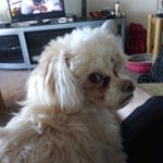 Profile Picture of John Robarge (@john.robarge.96930) on Instagram