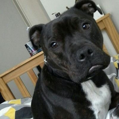 Profile Picture of Nathan Rushton (@12nrushton) on Twitter