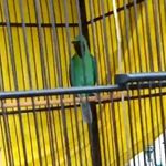 Profile Picture of Ganz Iant Ericsson (@ganzericsson) on Instagram