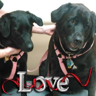 Profile Picture of Ray Augustine (@ray.augustine.79) on Facebook