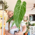Profile Picture of Mindy • Houseplant care tips (@urban_jungle_roots) on Instagram