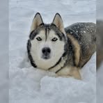 Profile Picture of Dave Huskey (@Dave-Huskey) on Facebook