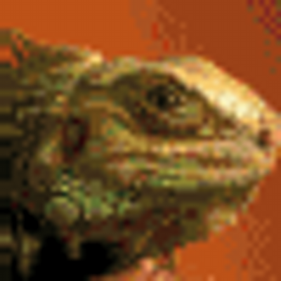 Profile Picture of Randy Fletcher (@maisepad) on Twitter