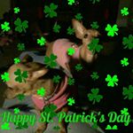 Profile Picture of Lisa Michaux (@lisa.michaux3) on Instagram