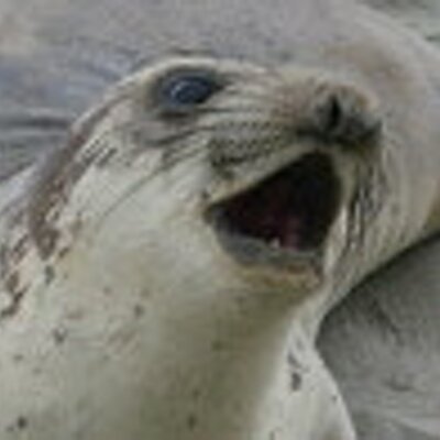 Profile Picture of Bob M (@ReasonablySmart) on Twitter