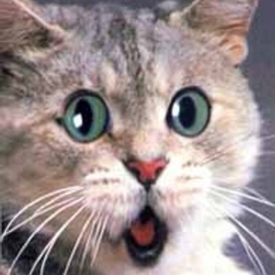 Profile Picture of Loren Arbeeny (@Loren27) on Twitter