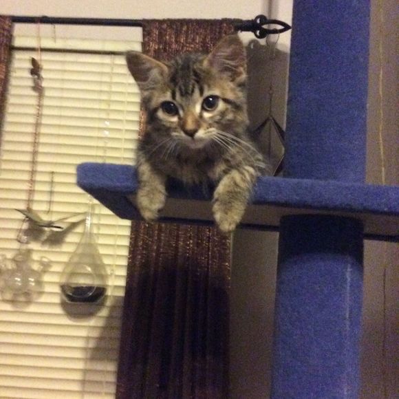 Profile Picture of Pamela Karl (@pamelakarl) on Poshmark