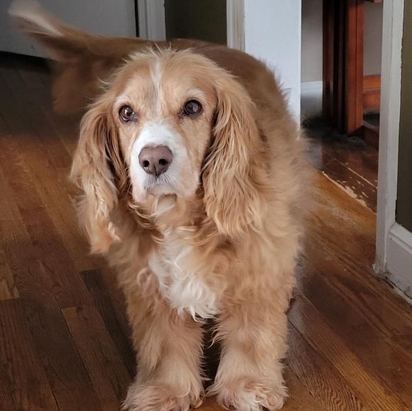 Profile Picture of Shawnna Doblar (@shawnna33) on Poshmark