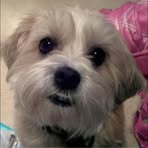 Profile Picture of Kiza Diaz (@Kiza-Diaz) on Facebook