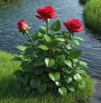 James Palson - Facebook Profile Picture of James Palson (@francisco.maradiaga.1460) on Facebook