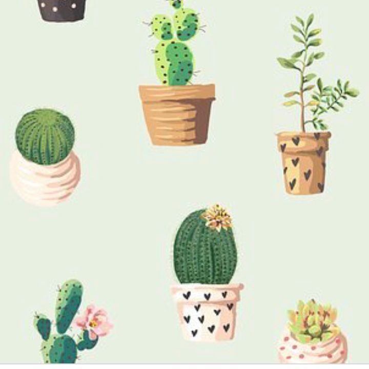 Profile Picture of Mindy (@mindy.green) on Tiktok