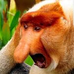 Profile Picture of jayson 2004 green (@long_monkey_2004) on Instagram