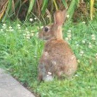 Profile Picture of Ann Walton Perry (@ann-walton-perry) on Quora