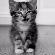 Profile Picture of Jia Xiong (@jiaxiong5721) on Youtube