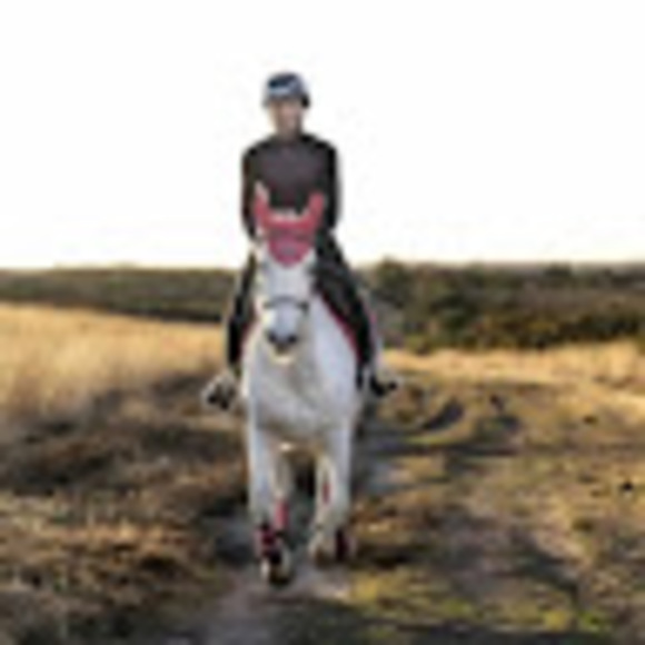 Profile Picture of Holly Gidman (@hollykv) on Poshmark