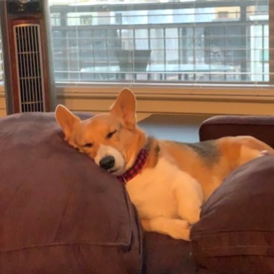 Profile Picture of Todd Chatham (@toddchatham) on Twitter