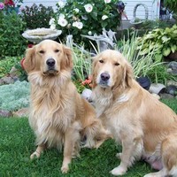 Profile Picture of Kenneth Lambert (@kenneth-lambert-20) on Quora