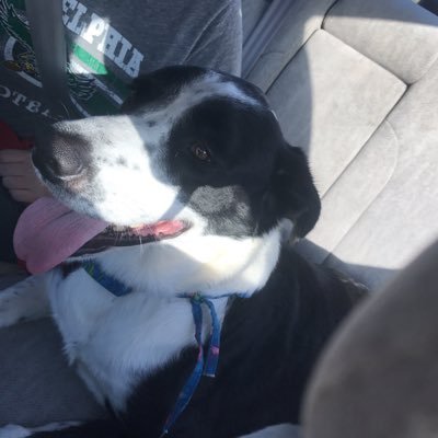 Profile Picture of Brandon Finkle (@brandonfinkle5) on Twitter