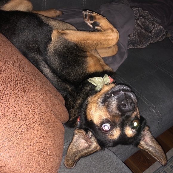 Profile Picture of Jonce Tackett (@joncetackett) on Poshmark