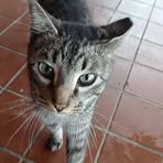 Profile Picture of Waters Kayla (@waters.kayla.2025) on Facebook