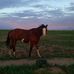 Profile Picture of Marsha Byrd (@marsha.byrd.560) on Facebook