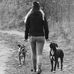 Profile Picture of Susan Koch (@susan.kunkel.545) on Facebook