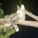 Profile Picture of Brette Carton (@Brette-Carton) on Facebook