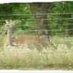 Profile Picture of Robert Stafford (@Robert-Stafford) on Facebook