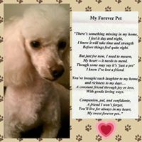 Profile Picture of Megan Jimenez (@megan-jimenez-8) on Quora