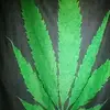 Profile Picture of haroldkeen6 (@haroldkeen6) on Tiktok