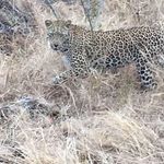 Profile Picture of Cheryl Larcombe (@cherlar3) on Instagram