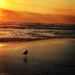Profile Picture of Beverly Bridges Boyett (@bevboyett) on Pinterest