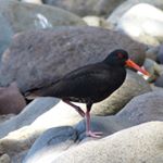 Profile Picture of Michael Bird (@birdseye22) on Instagram