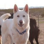 Profile Picture of James D Ingels (@james.d.ingels) on Facebook