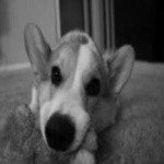 Profile Picture of Garthwaite (@paulsonmoshel1) on Instagram