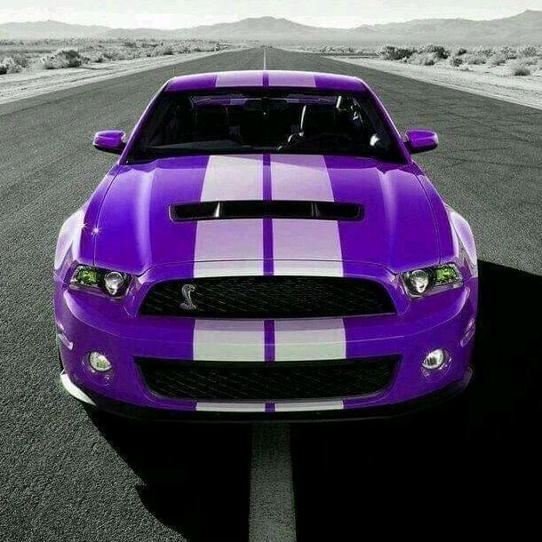 Profile Picture of Lisa Gurling635 (@lisa_gurling) on Tiktok