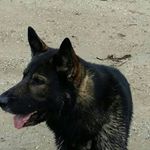 Profile Picture of Marianne Met Peter de Pruus (@sanderboutje) on Instagram