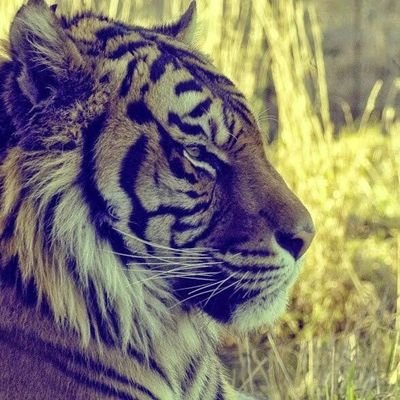 Profile Picture of Bradley Quinton (@111b702c80a347b) on Twitter