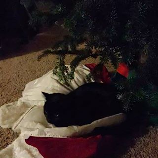 Jared Bradberry - Facebook Profile Picture of Jared Bradberry (@jared.bradberry.777) on Facebook