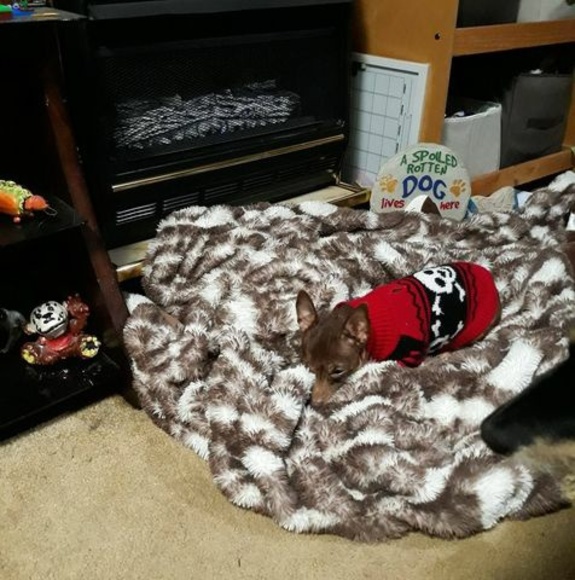 Profile Picture of Ronald Freeman (@kenworthkid) on Poshmark