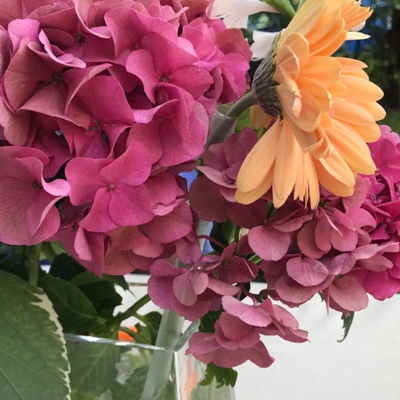 Profile Picture of Sarah Threlkeld (@noholiday) on Poshmark