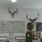 Profile Picture of Brad Doepkens (@brad40deer) on Instagram